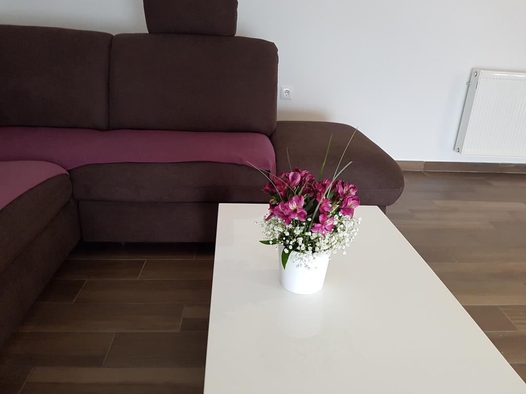 Apartments Tereza Senj  Bagian luar foto